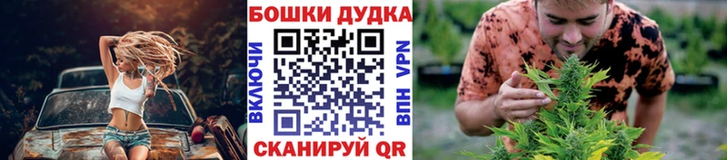  COCAIN Каменногорск