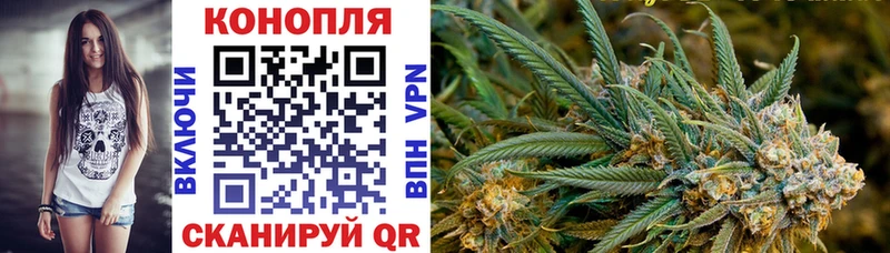 Магазины продажи наркотиков Каменногорск Амфетамин  Меф мяу мяу  КЕТАМИН  ГАШИШ  Бошки Шишки  COCAIN 