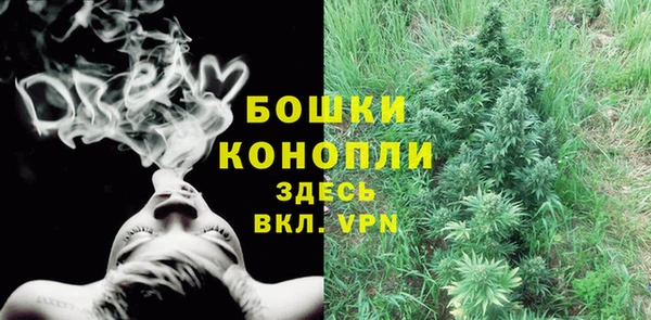 твердый Елизово