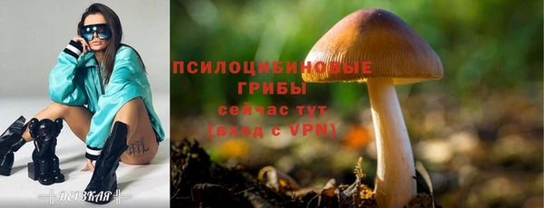 альфа пвп Ельня