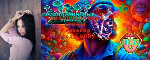 твердый Елизово