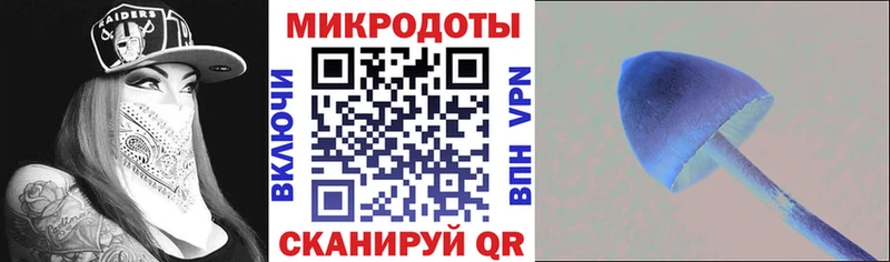 Галлюциногенные грибы MAGIC MUSHROOMS  Каменногорск 